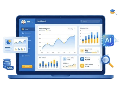 Data Analyst